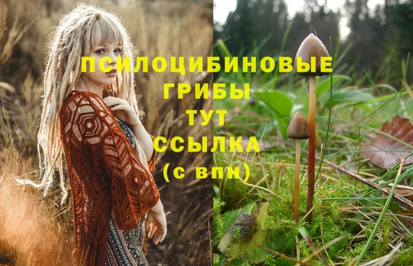 спайс Кукмор