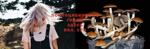 jwh Ладушкин