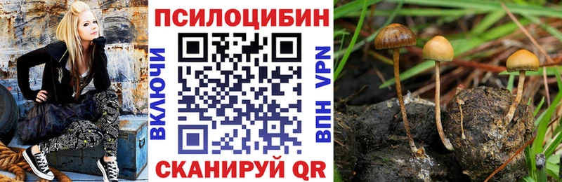 KRAKEN tor  Лянтор  Галлюциногенные грибы Magic Shrooms 