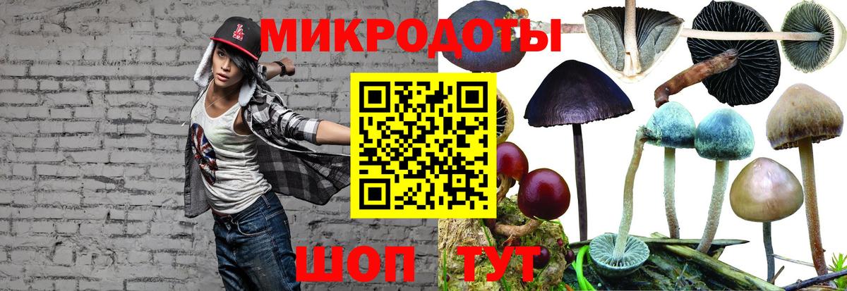 Псилоцибиновые грибы Cubensis Лянтор